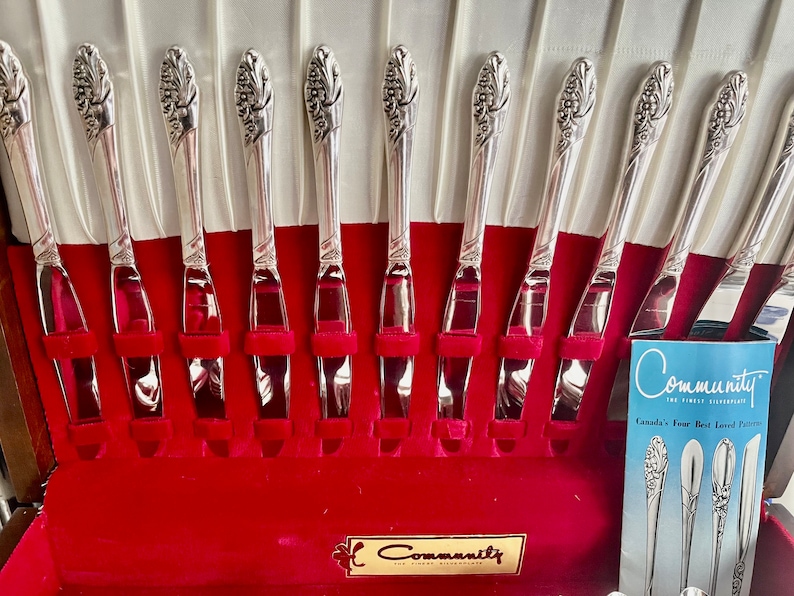 May include: A set of Community silverware knives arranged in a red velvet-lined case. The knives have a decorative floral design on the handles. The case also contains a brochure with the Community logo and information about the silverware patterns.