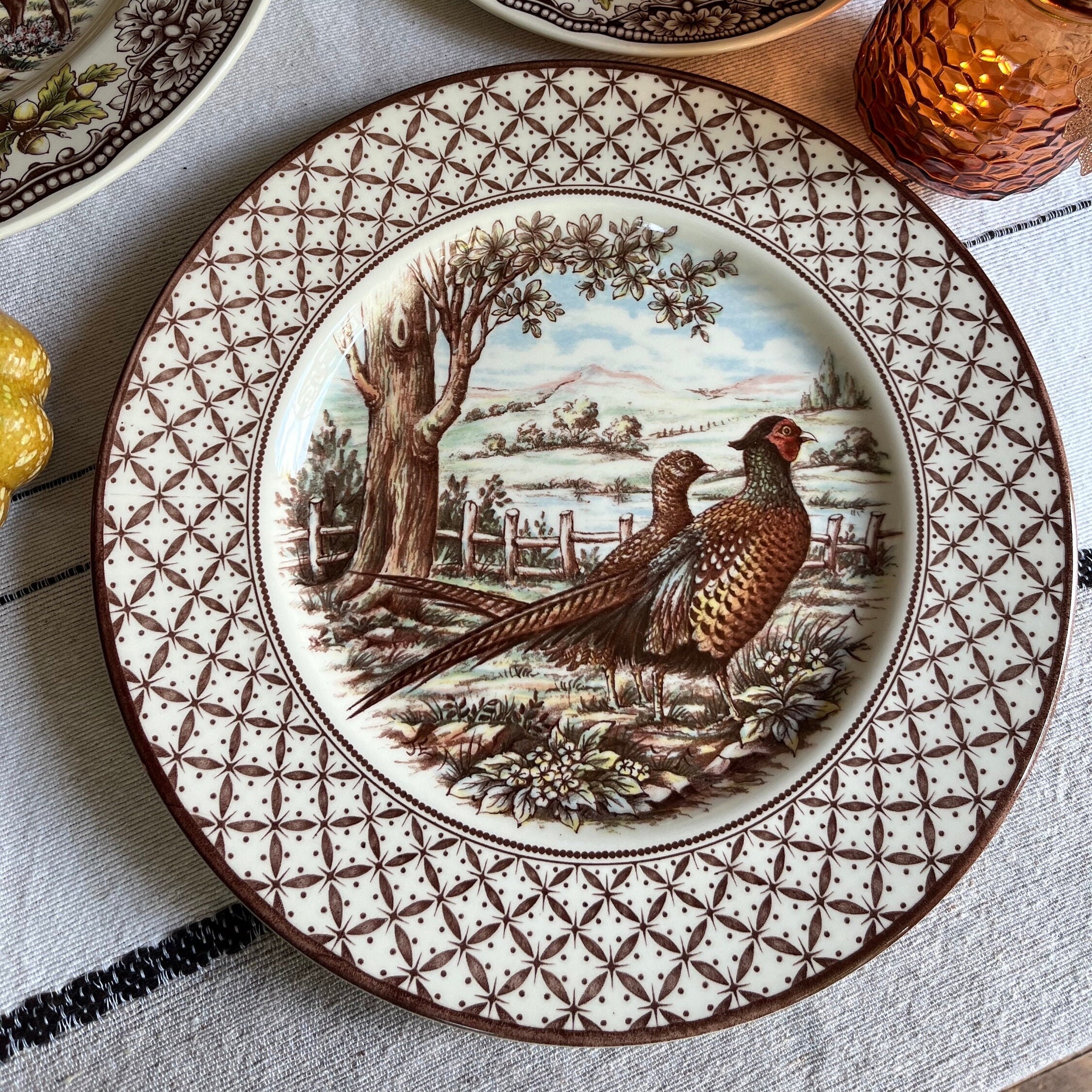 New Transferware Fall Thanksgiving Theme - Dinner Plates 11” - Chantilly Royal Stafford - Made in England