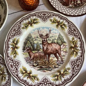 Royal Stafford Transferware Dinner Plates: Thanksgiving Fall Decor, Made in England bild 2