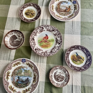 Exquisite Vintage English Animal Collection Plates – Wall Gallery Set of 7 image 14