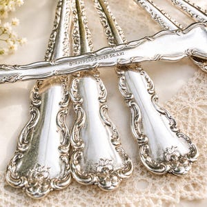 Pu&ograve; includere: Una collezione di cucchiai argentati con volute ornamentali lungo i manici. Il retro di un manico presenta l'incisione chiara del testo STRATFORD SILVER CO. AXI. La superficie metallica &egrave; lucida e riflettente con dettagliati motivi in rilievo.