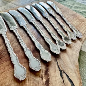 Vintage verzilverde strooiers — Birks Regency "Louis de France" bestek — set van 8 afbeelding 2