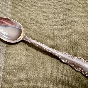 May include: A silver-toned metal spoon featuring a polished oval bowl and a long handle decorated with a raised, repeating scrollwork pattern along the edges. The spoon has a reflective surface and a tapered, rounded end on the handle.