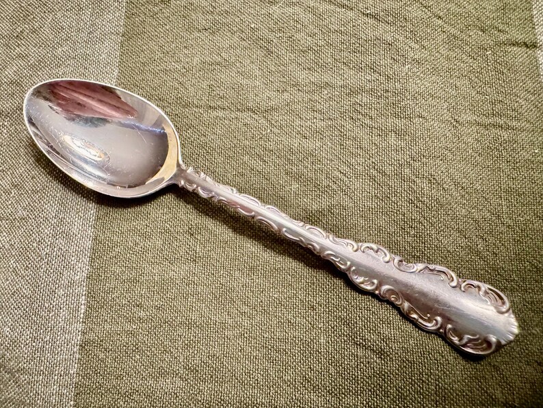 May include: A silver-toned metal spoon featuring a polished oval bowl and a long handle decorated with a raised, repeating scrollwork pattern along the edges. The spoon has a reflective surface and a tapered, rounded end on the handle.