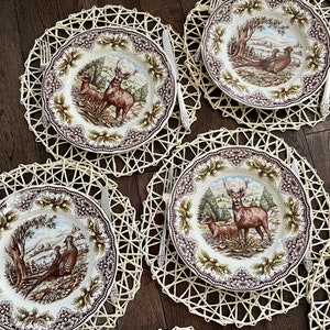 Royal Stafford Transferware Dinner Plates: Thanksgiving Fall Decor, Made in England bild 1