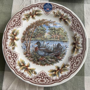 Exquisite Vintage English Animal Collection Plates – Wall Gallery Set of 7 image 8
