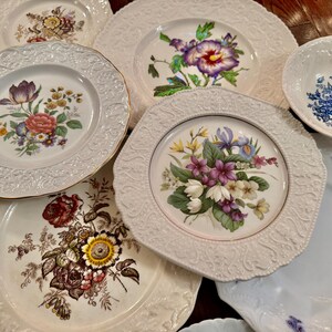 May include: A collection of white ceramic plates and a bowl featuring embossed rims and various colorful floral patterns, including depictions of tulips, roses, irises, and violets, arranged in an overlapping display on a dark wooden surface.
