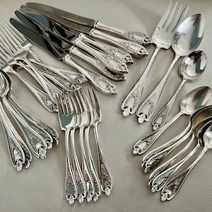 Puede incluir: Un conjunto de cubiertos de plata, que incluye tenedores, cucharas y cuchillos. La cuberter&iacute;a presenta patrones florales decorativos en los mangos. Los cuchillos tienen hojas oscuras y las cucharas y tenedores tienen una superficie brillante y reflectante.