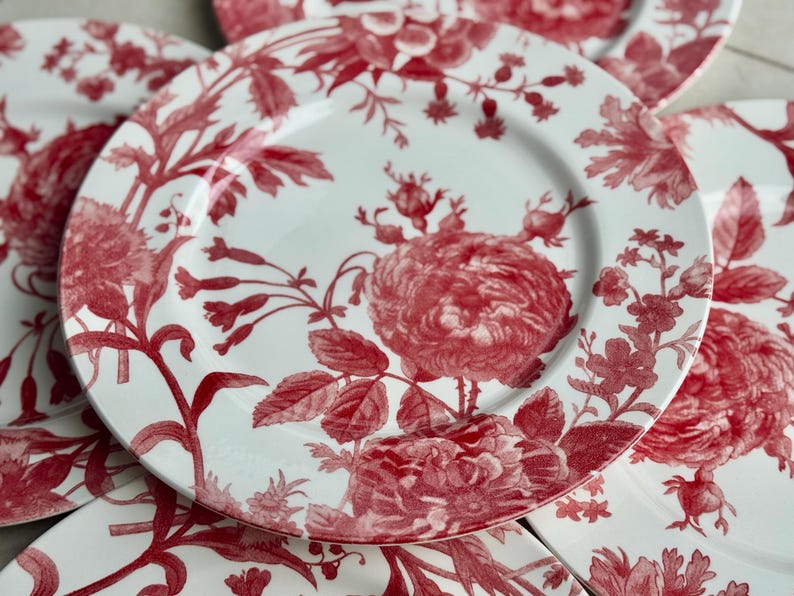 New Vintage Style Transferware - Dinner Plates 11” - Royal Stafford England bild 8