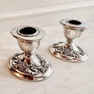 Pu&ograve; includere: Una coppia di portacandele in metallo color argento con base ovale decorata da motivi in rilievo di uva e foglie. Ogni portacandele presenta un bordo superiore liscio e svasato e uno stelo centrale che collega la base al supporto.