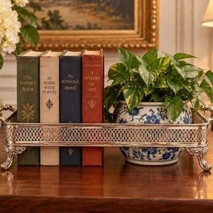 Peut inclure: Un plateau rectangulaire en métal argenté avec une galerie ajourée à motif de treillis et des pieds décoratifs. Le plateau contient quatre livres reliés intitulés The Garden Book, At Home With Plants, The Kinfolk Home et A History of Art, ainsi qu'un pot en céramique bleu et blanc contenant une plante verte.