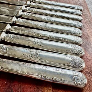 May include: A set of silver-plated dinner knives with ornate floral designs on the handles.