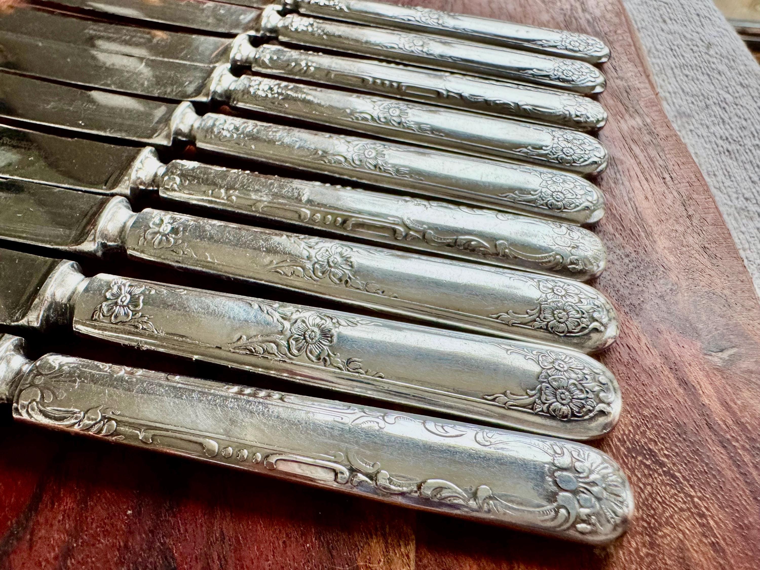 Vintage Wm. Rogers Silverplate Fruit or Butter Knives – Set of 9 – Floral Handles