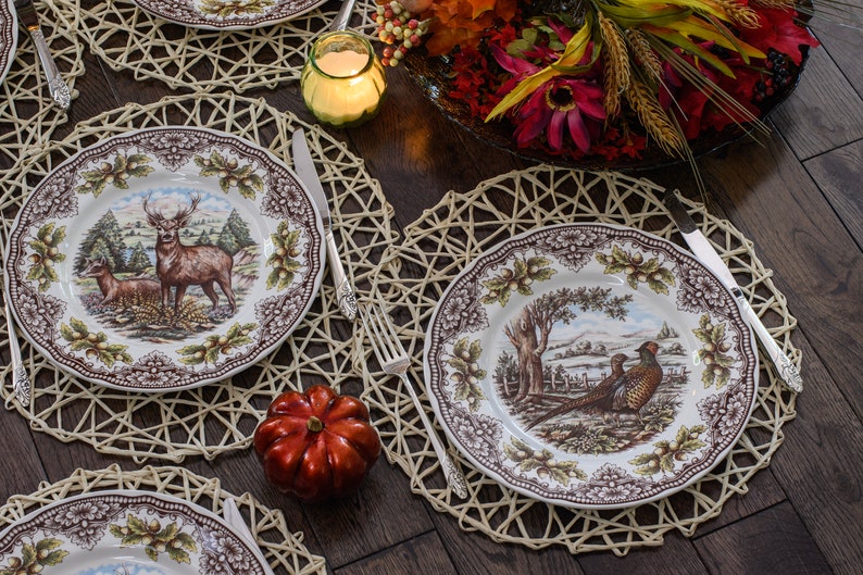 Royal Stafford Transferware Dinner Plates: Thanksgiving Fall Decor, Made in England bild 6