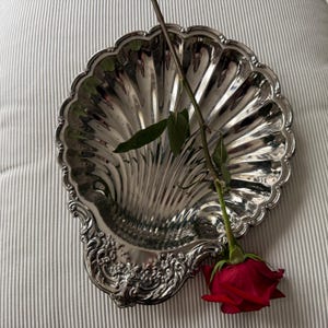 K&ouml;nnte beinhalten: Eine polierte, silberfarbene Metallschale in Form einer Jakobsmuschel mit gewelltem Rand und floralen Verzierungen an der Basis. Eine einzelne rote Rose mit gr&uuml;nen Bl&auml;ttern und einem langen Stiel liegt diagonal auf der Schale.