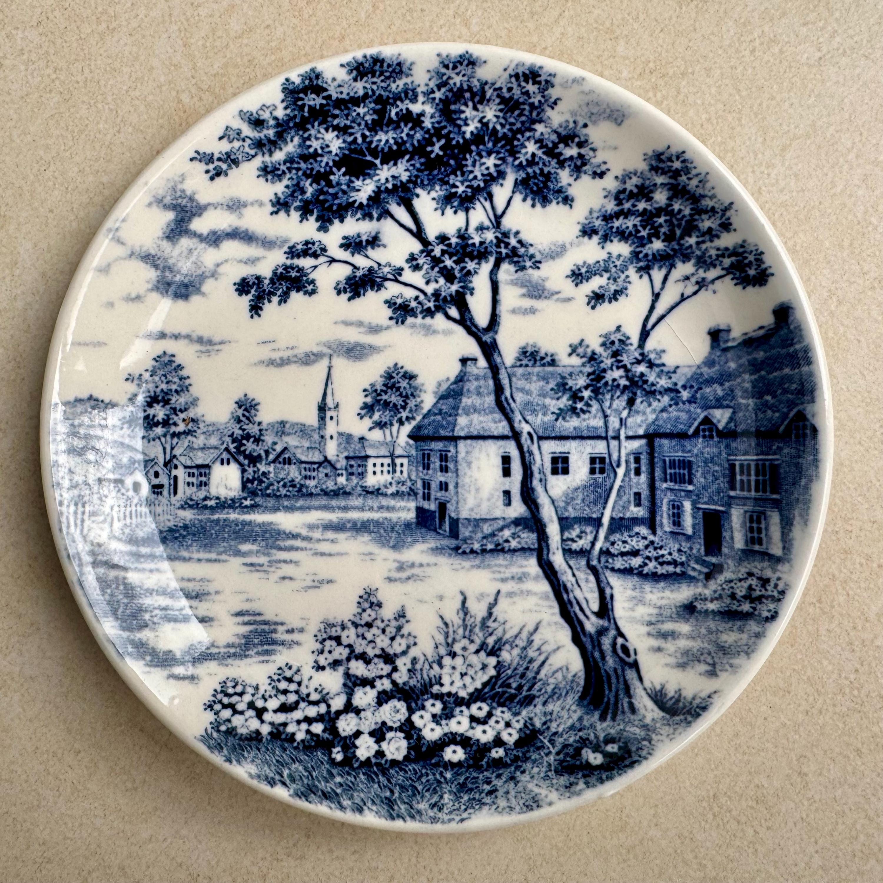 Rare Unique Antique Blue & White Transferware Wall Plate Collection – 5-Piece Assortment
