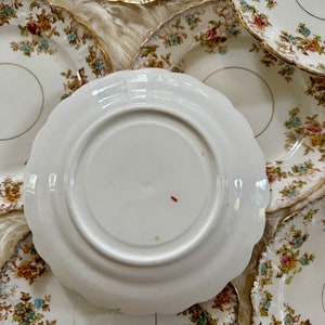 K&ouml;nnte beinhalten: Ein Set aus sechs Vintage-Tellern mit floralem Muster und goldener Verzierung. Die Teller sind wei&szlig; mit einem zarten Blumenmuster in Rosa-, Blau- und Gr&uuml;nt&ouml;nen. Die Teller sind &uuml;bereinander gestapelt, und der unterste Teller ist sichtbar.