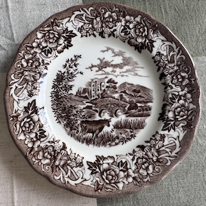Exquisite Vintage English Animal Collection Plates – Wall Gallery Set of 7 image 5