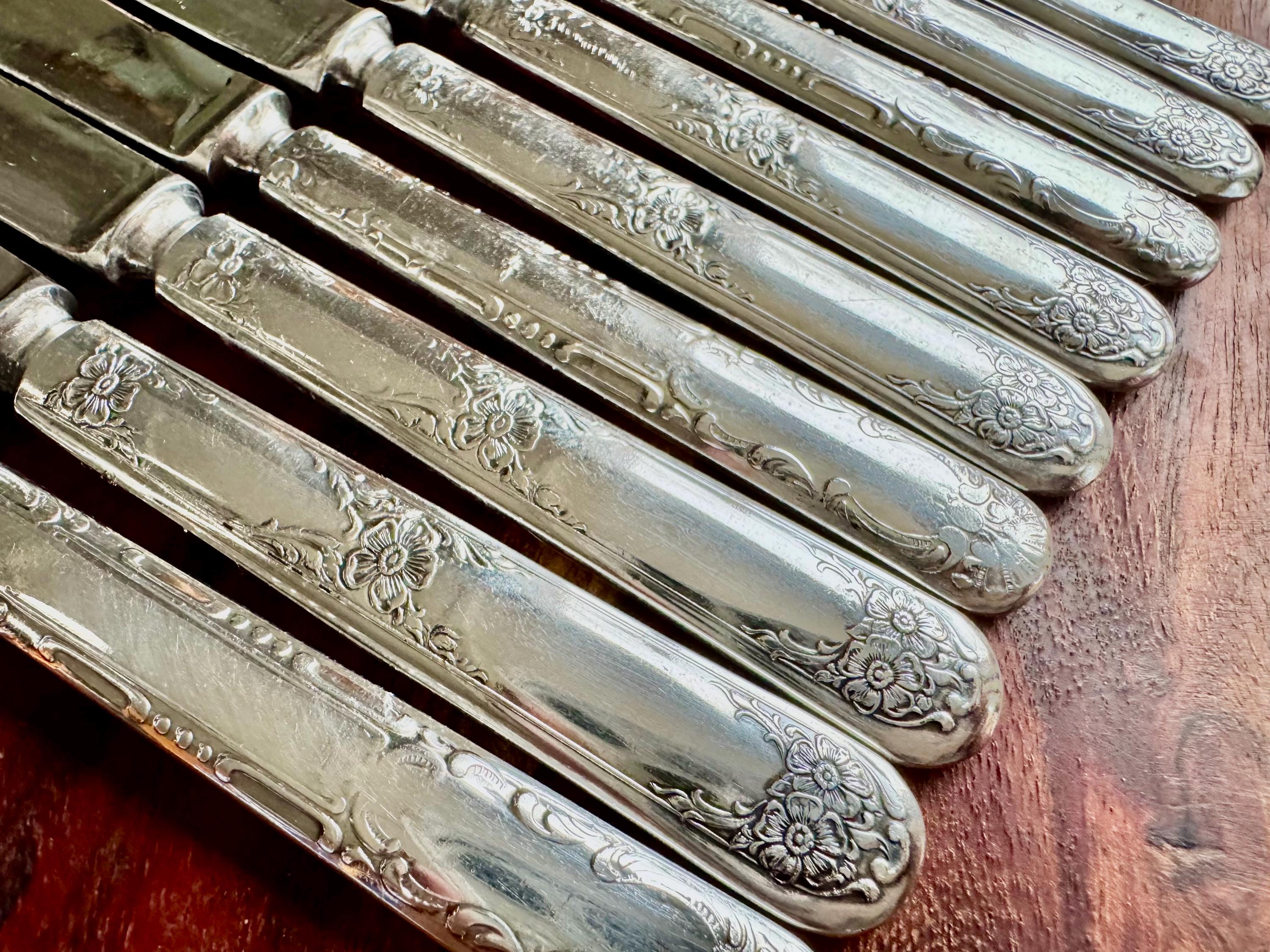 Vintage Wm. Rogers Silverplate Fruit or Butter Knives – Set of 9 – Floral Handles