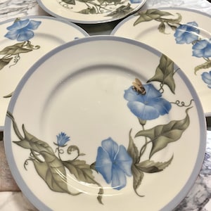 K&ouml;nnte beinhalten: Ein Set aus f&uuml;nf wei&szlig;en Keramiktellern mit hellblauem Rand. Jeder Teller zeigt eine detaillierte Illustration von blauen Prunkwinden, gr&uuml;nen Bl&auml;ttern und Ranken. Auf einem Teller ist eine Biene zu sehen.