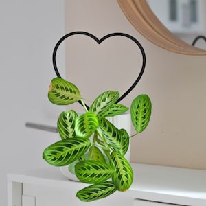 Großes Herz Pflanzengitter | 3D gedrucktes Zubehör | perfektes Geschenk für Pflanzenliebhaber | umweltfreundliche | moderne Wohnkultur | einzigartige Unterstützung