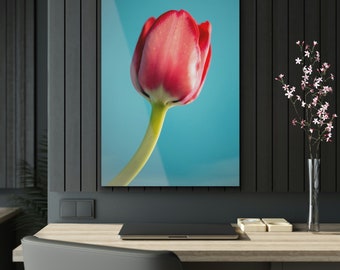 Lone Tulip - Acrylic Print