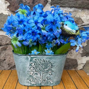 Bluebird Nesting in Blue Hyacinths Free Shipping next business day with free gift bag and card!