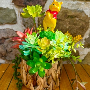 Winnie’s Garden of Succulents