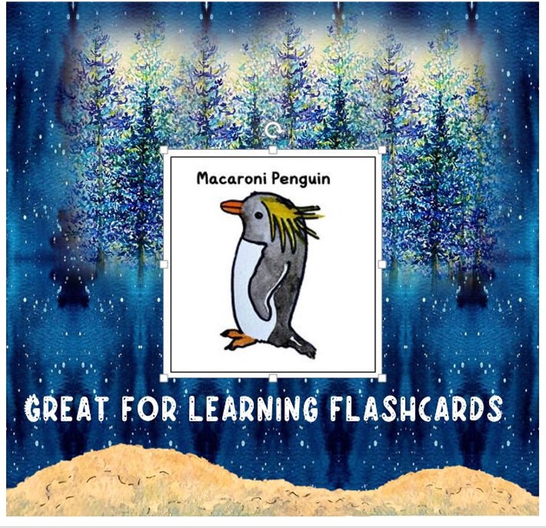 Playful Penguin types watercolor clipart homeschool printable - Etsy.de