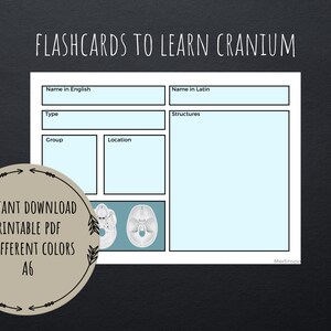 Cranium skull flashcards PDF | printable digital template | study, anatomy notes | active recall | for dentistry, odontology, med students