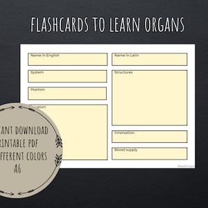 Human organs flashcards PDF | printable digital template | study organs, anatomy notes | active recall | for med, nursing, PA students