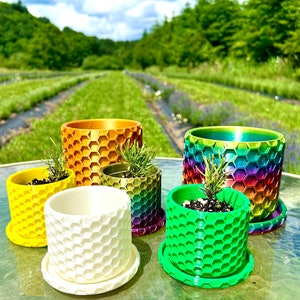 May include: Five hexagonal patterned plant pots in different colors, including yellow, white, green, and rainbow. The pots are arranged on a glass table with a blurred background of a lavender field.