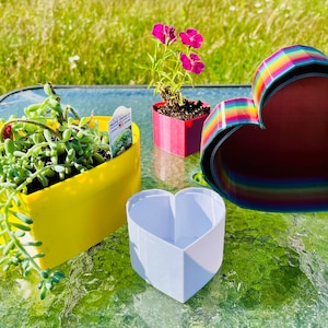 Heart Shaped Self Watering Planter | 3D Printed, Farm Tested | Various Colors - Two Sizes Available