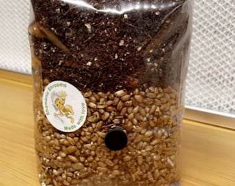 All-In-One Mushroom Grow Kit. 1KG Grain Spawn Coir Vermiculite Gypsum CVG -Buy 3 and get 1 free limited time offer - All made to order