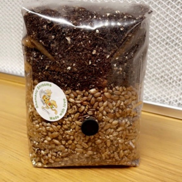 All-In-One Mushroom Grow Kit. 1KG Grain Spawn Coir Vermiculite Gypsum CVG -Buy 3 and get 1 free limited time offer - All made to order