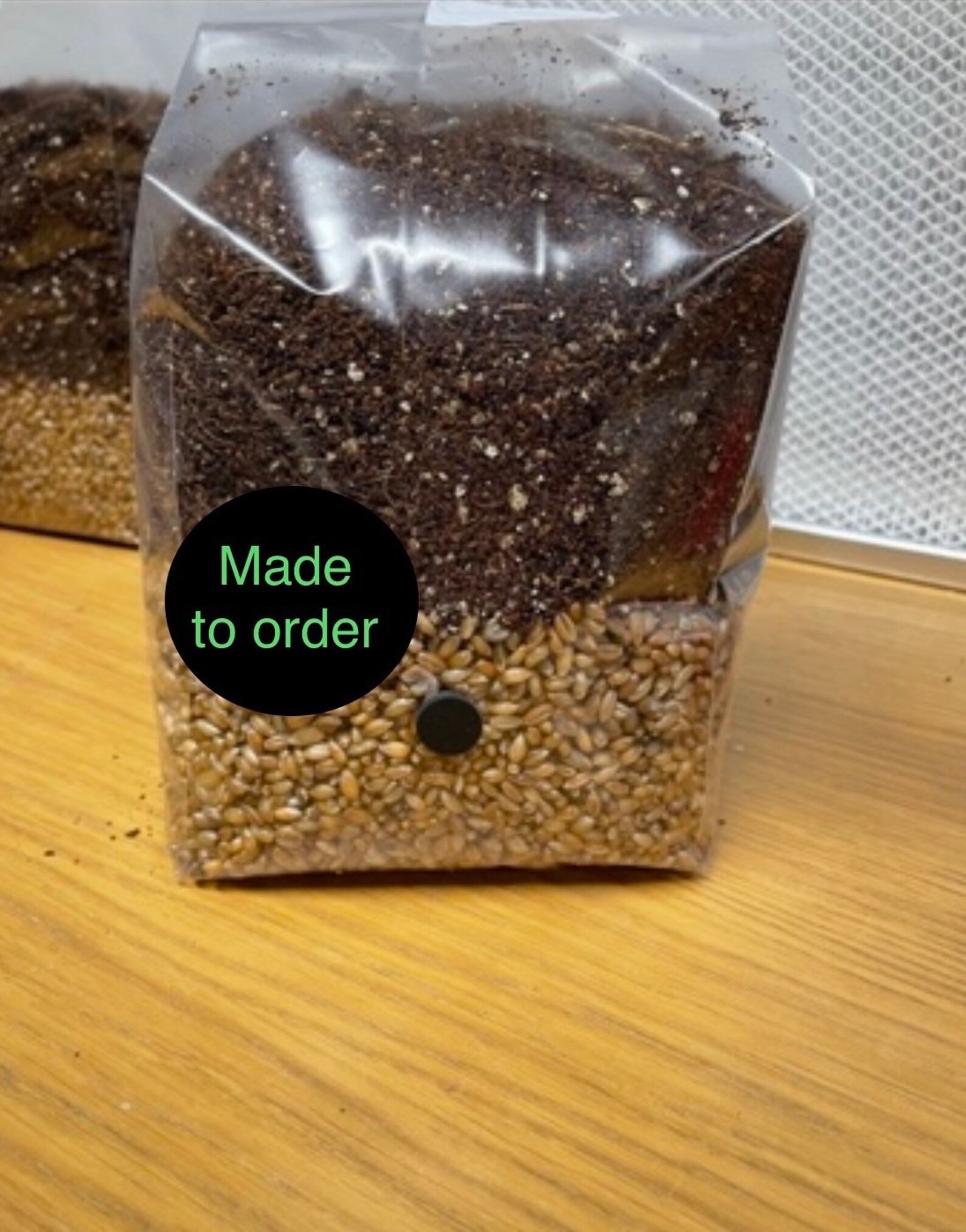 Allinone Mushroom Grow Kit. 1KG Grain Spawn Coir Vermiculite Gypsum
