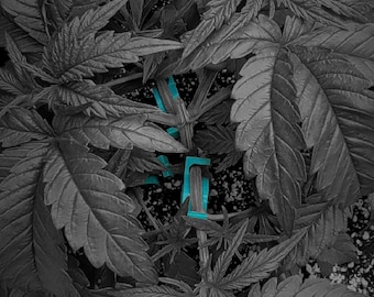 RPB3D / LST clips/Low Stress Training / Plants (per Dozen)