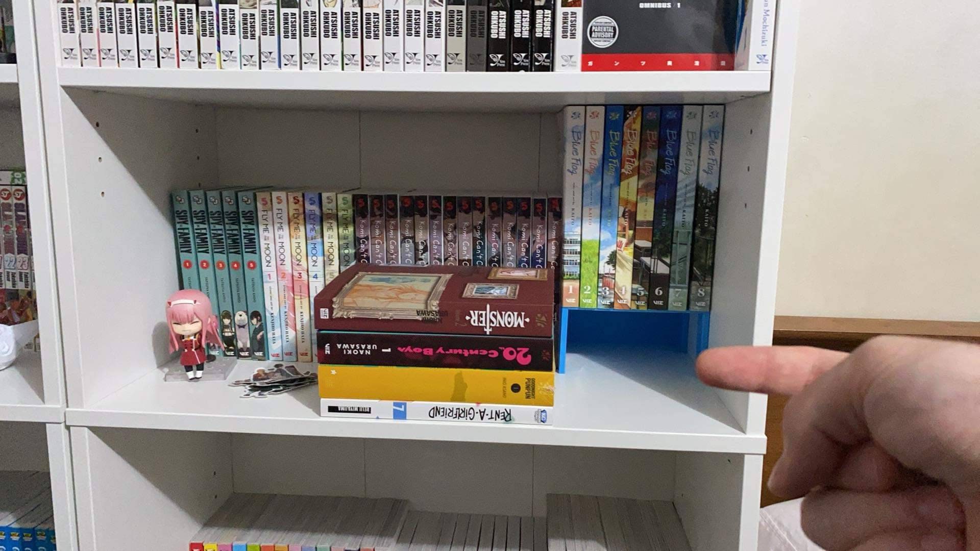 MANGA/ANIME Book Shelf Dvd/cd Etsy