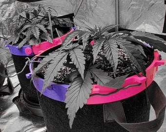 RPB3D / LST Pot Toppers /Low Stress Training Ring / AC Infinity Fabric pot LST Rings / SoG / SCRoG