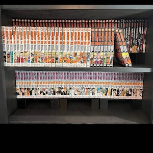 MANGA/ANIME book shelf riser/organizer, dvd/cd organization/storage solutions / customizable organization / kitchen cabinet food organizer