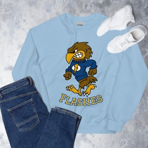 May include: Light blue sweatshirt with a cartoon hawk mascot wearing a blue shirt with a lightning bolt and the word "FLASHES" in yellow letters.