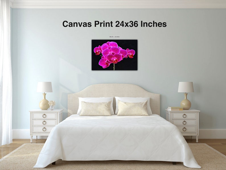 Fuchsia Orchid Wall Art Flower Canvas Wall Decor Canvas Print Flowers Fine Art, F Newman Photography Canvas Print 24x36 inches