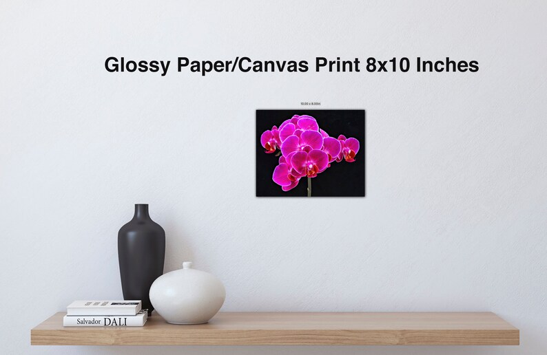 Fuchsia Orchid Wall Art Flower Canvas Wall Decor Canvas Print Flowers Fine Art, F Newman Photography image 2