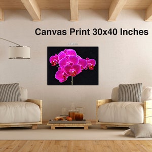 Fuchsia Orchid Wall Art Flower Canvas Wall Decor Canvas Print Flowers Fine Art, F Newman Photography image 7