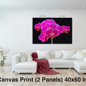 Fuchsia Orchid Wall Art Flower Canvas Wall Decor Canvas Print Flowers Fine Art, F Newman Photography image 8