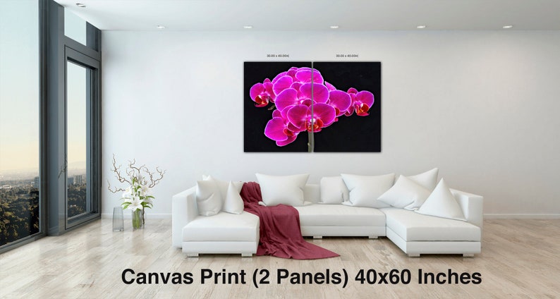 Fuchsia Orchid Wall Art Flower Canvas Wall Decor Canvas Print Flowers Fine Art, F Newman Photography Canvas(2Panel)40x60 inches