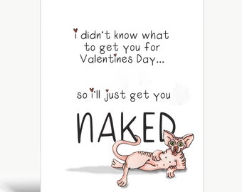 I didn't know what to get you for Valentine's Day, so I'll just get you naked / Valentines card