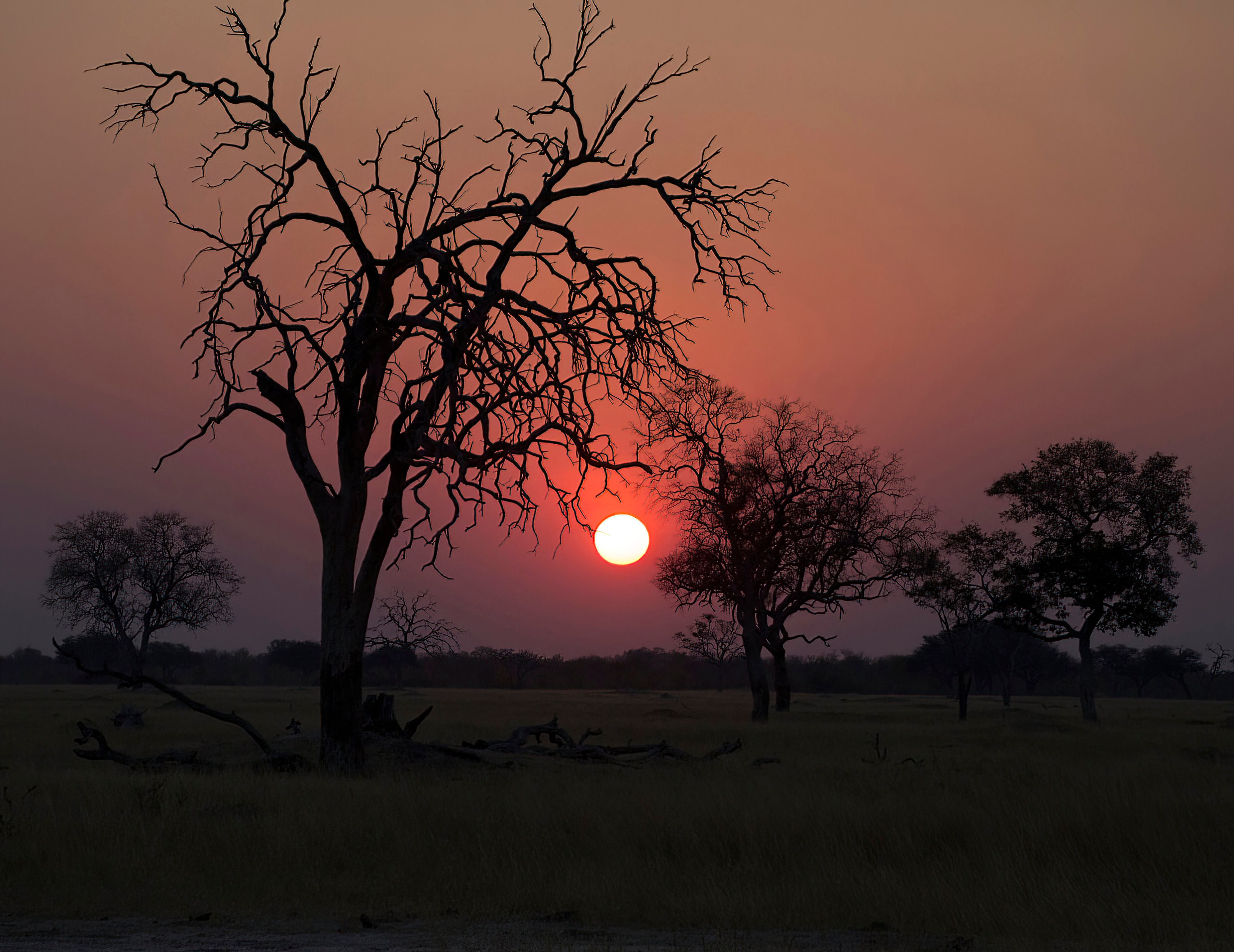 South Africa Sunset Canvas Wall Hanging, Photo Art Print For Home or Office,