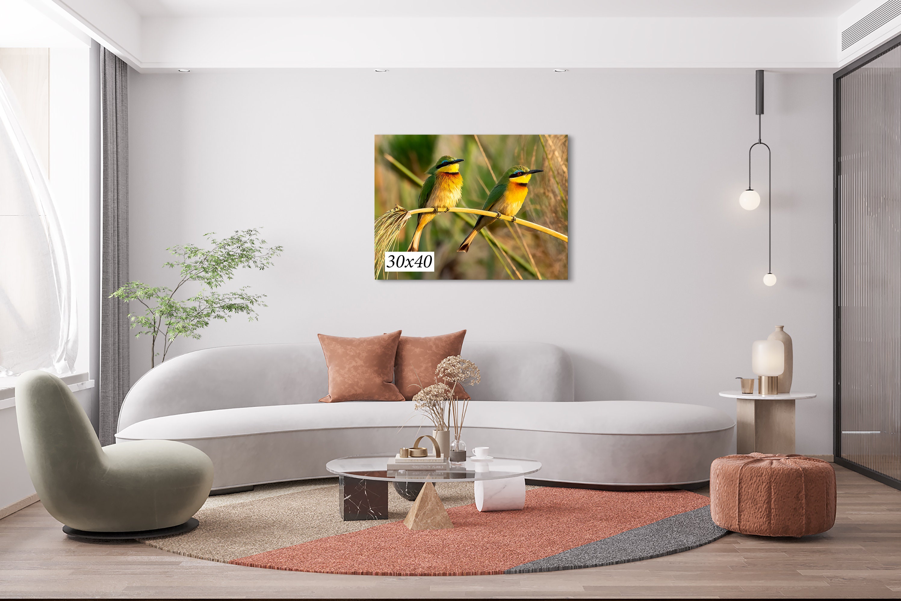 South Africa 2 Little Bee-Eaters Canvas Photo Art Print For Wall ,  8 x 10 up to - Picture 10 of 20
