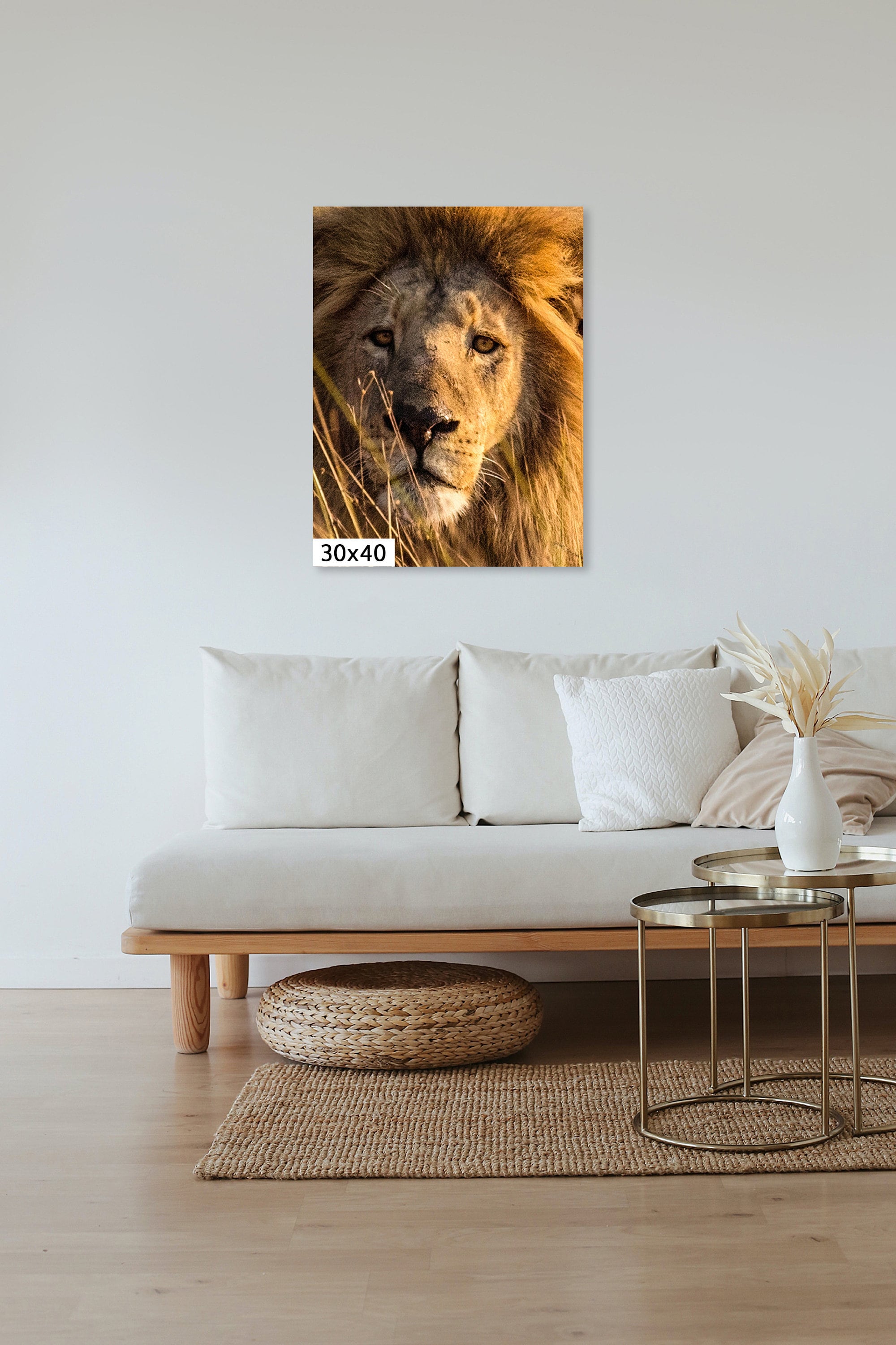 Canvas Wall Hanging Home or Office Decor- Striking S. Africa Male Lion Closeup